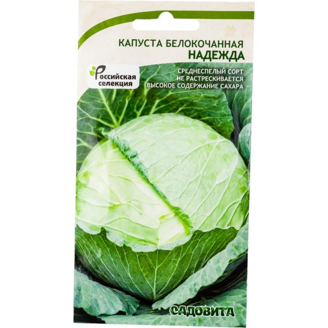 Белокочанная капуста капуста Садовита Надежда 00192738