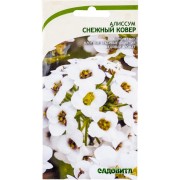 Алиссум семена Садовита Снежный ковер 00160701