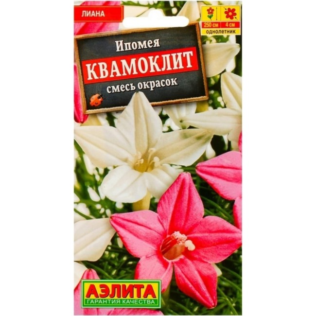 Семена Аэлита Ипомея Квамоклит 4601729019838