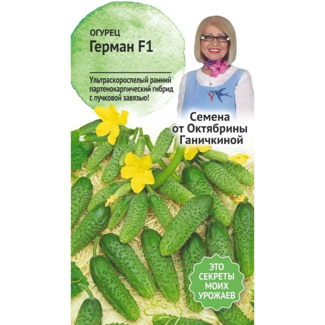 Огурец семена ОКТЯБРИНА ГАНИЧКИНА Герман F1 120157