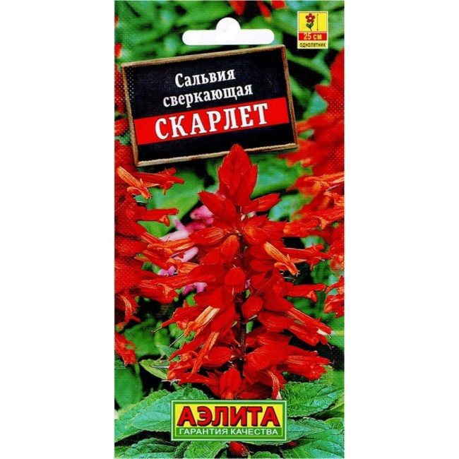 Семена Аэлита Сальвия сверкающая Скарлет 4601729071850
