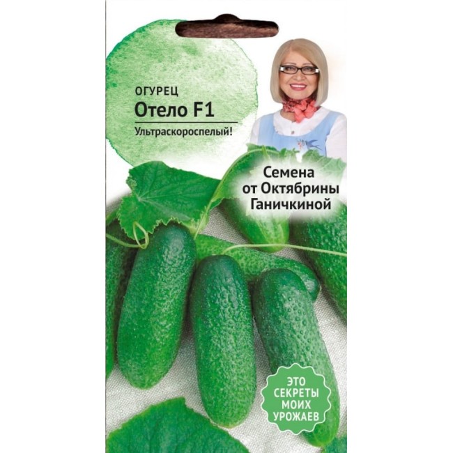 Огурец семена ОКТЯБРИНА ГАНИЧКИНА Отело 119129