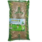 Газонная травосмесь Евро-Семена Детский 56378