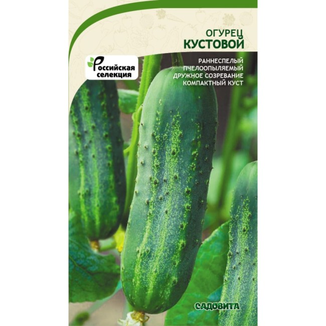 Огурец семена Садовита Кустовой 00160645