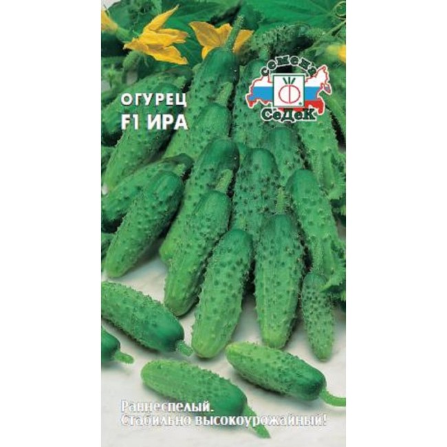 Огурцец семена СеДек Ира 00000015630