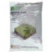 Семена газона Зеленый квадрат Теневой 4607160331195