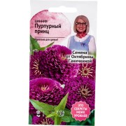 Цинния семена ОКТЯБРИНА ГАНИЧКИНА Пурпурный принц 119288 Цинния семена ОКТЯБРИНА ГАНИЧКИНА Пурпурный принц 119288