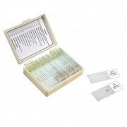 Набор препаратов Микромед Ботаника 22748 Набор препаратов Микромед Ботаника 22748