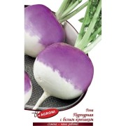 Репа семена Агрони ПУРПУРНАЯ С БЕЛЫМ КОНЧИКОМ 6982 Репа семена Агрони ПУРПУРНАЯ С БЕЛЫМ КОНЧИКОМ 6982