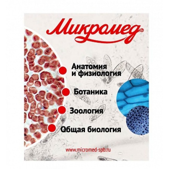 Набор готовых микропрепаратов Микромед №80 23319