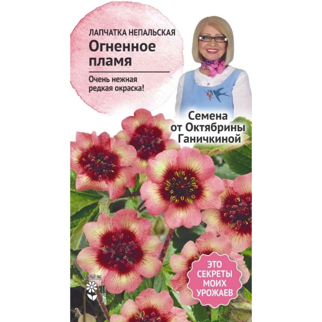 Лапчатка семена ОКТЯБРИНА ГАНИЧКИНА Огненное пламя 119669