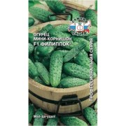 Огурец семена СеДек Филиппок 00000013940