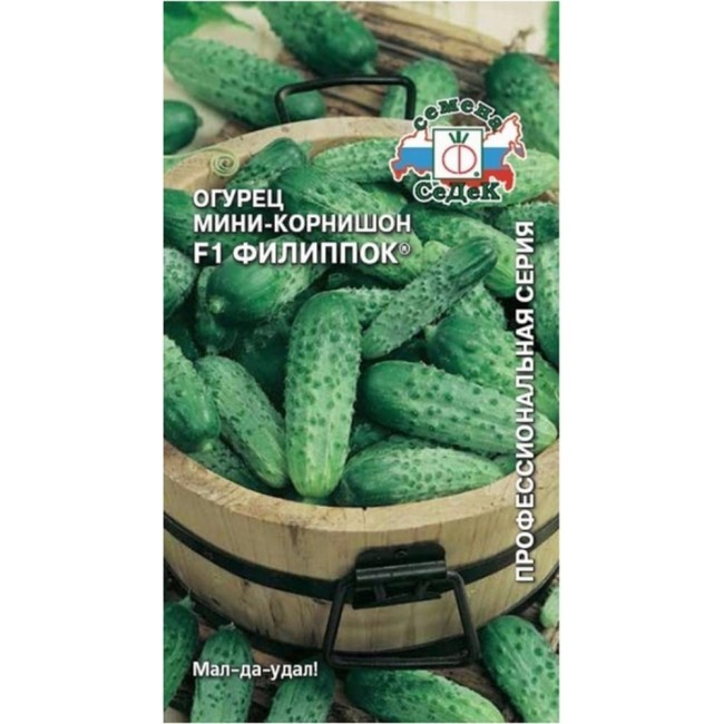 Огурец семена СеДек Филиппок 00000013940