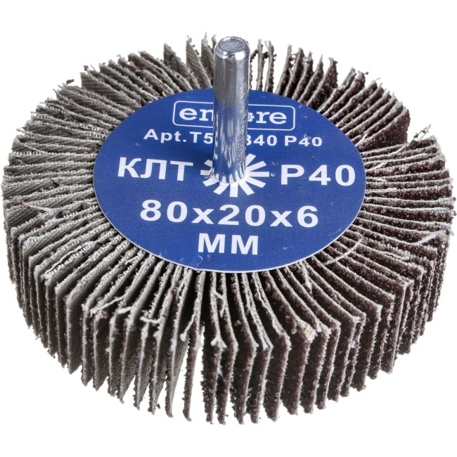 Лепестковый радиальный круг на дрель TORGWIN T448188