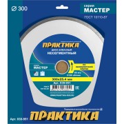 Алмазный диск ПРАКТИКА Мастер 038-951 Алмазный диск ПРАКТИКА Мастер 038-951