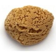 Натуральная морская губка PAVAN 3120 S0112504 Натуральная морская губка PAVAN 3120 S0112504