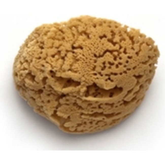 Натуральная морская губка PAVAN 3120 S0112504