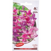 Сальвия семена Агрони МИКС 3240 Сальвия семена Агрони МИКС 3240