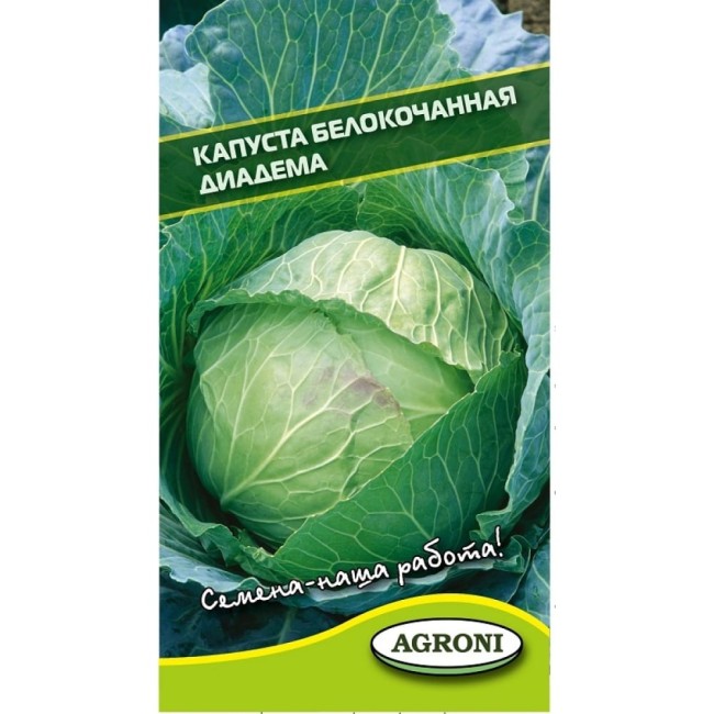 Белокочанная капуста капуста Агрони ДИАДЕМА F1 7156