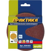 Шлифовальные круги ПРАКТИКА 038-623 Шлифовальные круги ПРАКТИКА 038-623