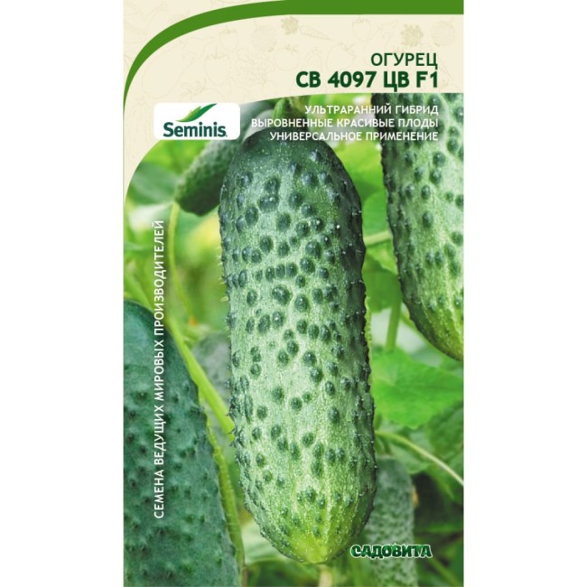 Огурец семена Садовита СВ 4097 ЦВ F1 00160688