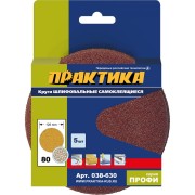 Шлифовальные круги ПРАКТИКА 038-630 Шлифовальные круги ПРАКТИКА 038-630