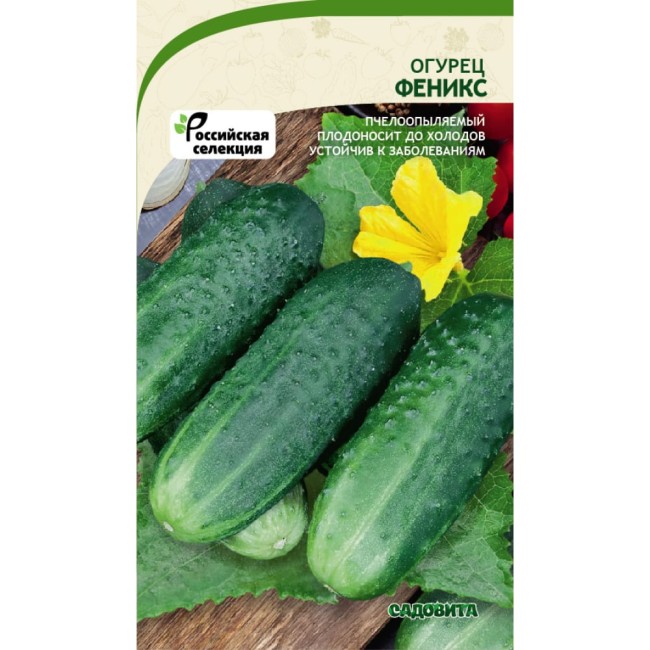Огурец семена Садовита Феникс 00140090