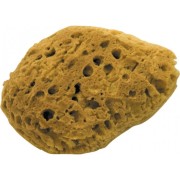 Губка для придания эффекта коралла DEKOR 1474 Губка для придания эффекта коралла DEKOR 1474