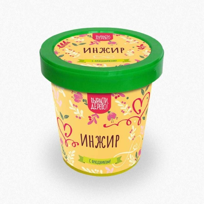 Подарочный набор для выращивания растений Вырасти,Дерево! Инжир zk-115