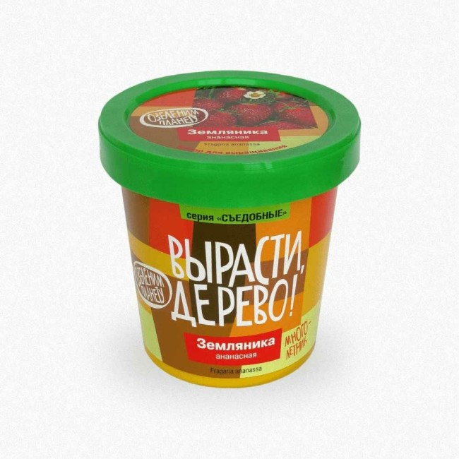 Набор для выращивания растений Вырасти,Дерево! Земляника ананасная zk-038