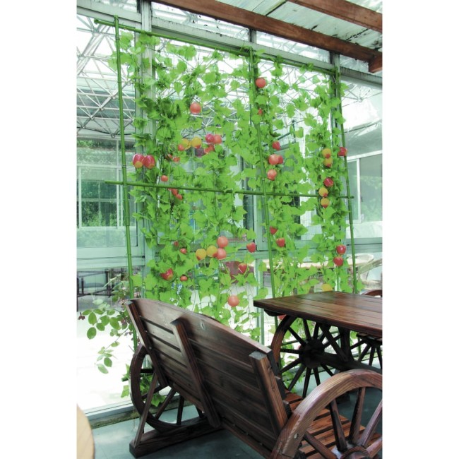 Сборный комплект для вьющихся растений GREEN APPLE Б0008307