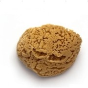 Большая натуральная морская губка STMDECOR M86 Большая натуральная морская губка STMDECOR M86