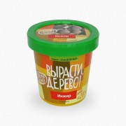 Набор для выращивания растений Вырасти,Дерево! Инжир zk-080 Набор для выращивания растений Вырасти,Дерево! Инжир zk-080