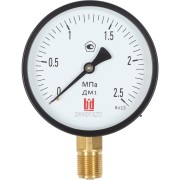 Манометр BD ДМ 1 Т2 100 Р 1151100004