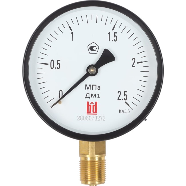 Манометр BD ДМ 1 Т2 100 Р 1151100004