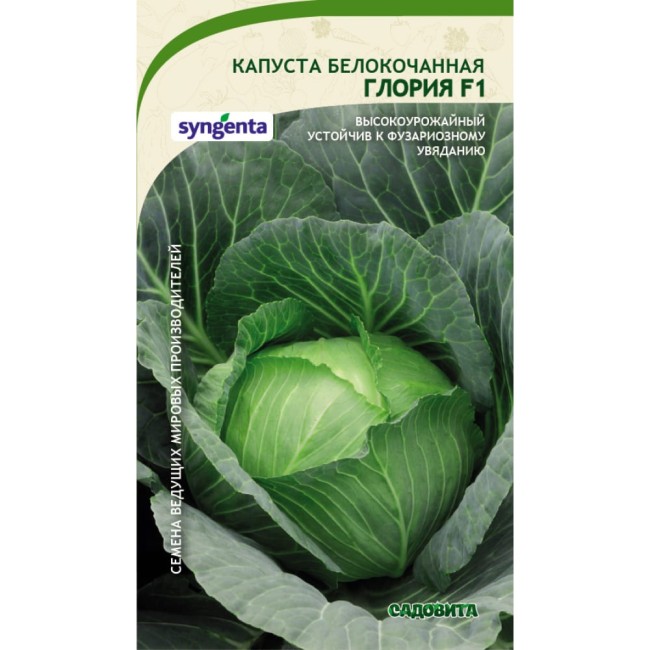 Белокочанная капуста капуста Садовита Глория F1 00132348