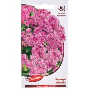 Агератум семена Агрони ПИНК БОЛ 4902 Агератум семена Агрони ПИНК БОЛ 4902