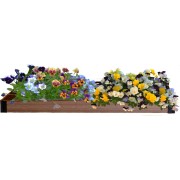 Ограждение для грядки Garden Dreams 4620769391933 Ограждение для грядки Garden Dreams 4620769391933