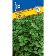 Кориандр семена Престиж-Семена Санто 00016988 Кориандр семена Престиж-Семена Санто 00016988
