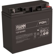 Аккумуляторная батарея FIAMM 12FGH65 Аккумуляторная батарея FIAMM 12FGH65