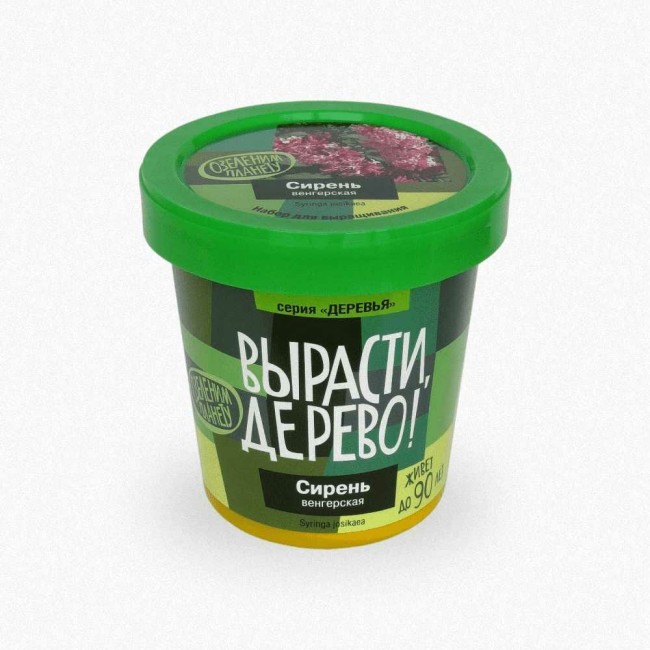 Набор для выращивания растений Вырасти,Дерево! Сирень венгерская zk-053