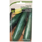 Кабачок кабачки Садовита Сальвадор F1 00183513 Кабачок кабачки Садовита Сальвадор F1 00183513