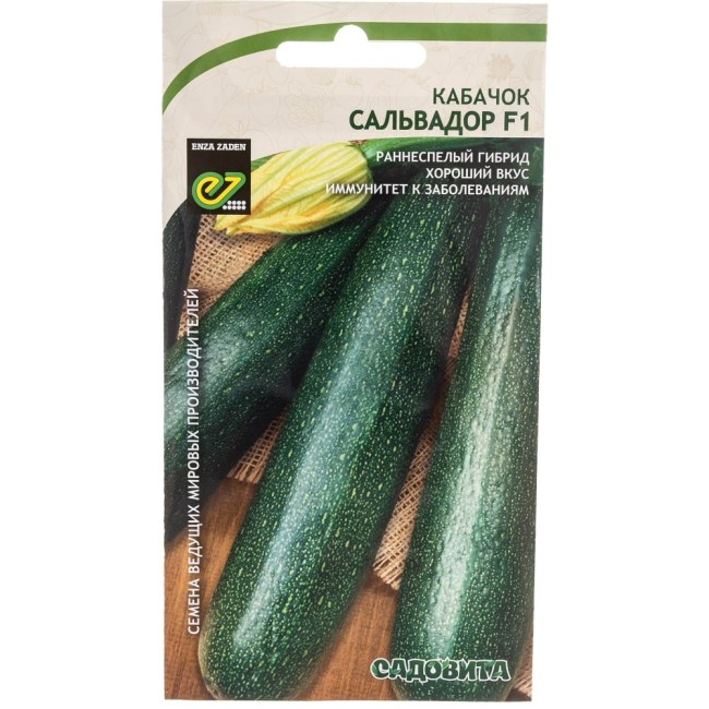 Кабачок кабачки Садовита Сальвадор F1 00183513