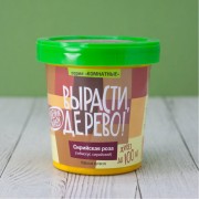 Набор для выращивания растений Вырасти,Дерево! Сирийская роза zk-126