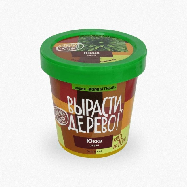 Набор для выращивания растений Вырасти,Дерево! Юкка zk-013