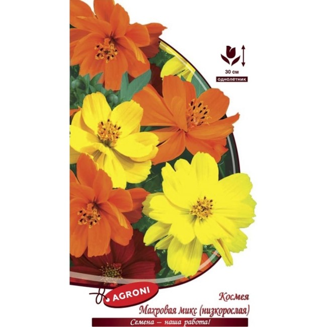 Махровая космея семена Агрони НИЗКОРОСЛАЯ КАРПЕТ МИКС 7873