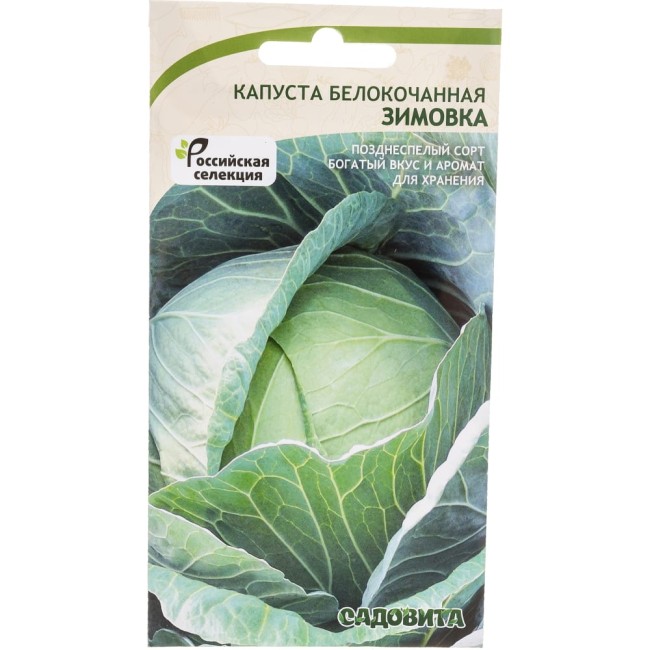 Белокочанная капуста капуста Садовита Зимовка 00183519