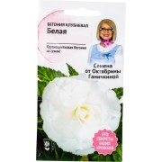 Клубневая бегония семена ОКТЯБРИНА ГАНИЧКИНА Белая 118852 Клубневая бегония семена ОКТЯБРИНА ГАНИЧКИНА Белая 118852