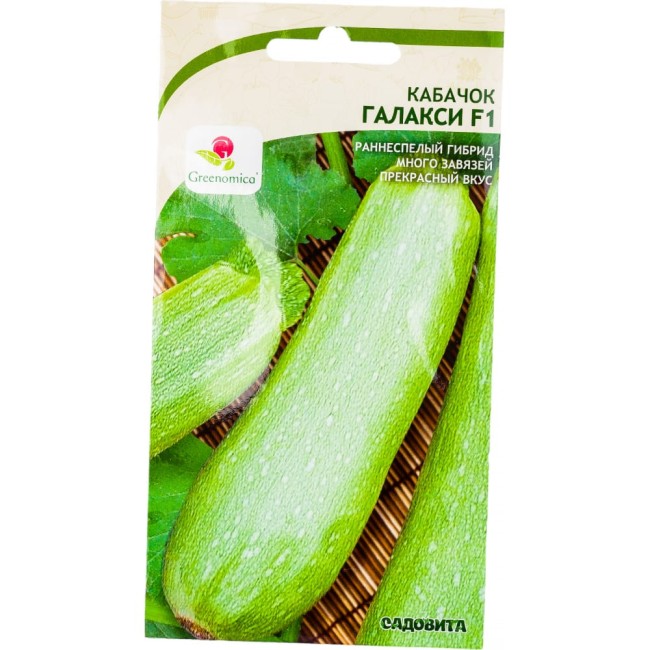 Кабачок кабачки Садовита Галакси F1 00192729