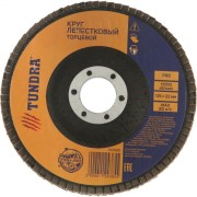 Лепестковый торцевой круг ТУНДРА 1124385